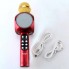 Микрофон-караоке Bluetooth WSTER WS-1816 RED