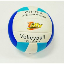 Мяч волейбольный Tilly White Blue (BT-VT-0029) Мяч волейбольный Tilly White Blue (BT-VT-0029)