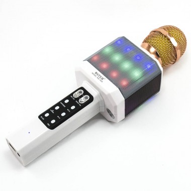 Микрофон-караоке беспроводной WSTER WS-1828 White с возможностью смены голоса